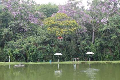 imóveis à venda em Riacho Grande, São Bernardo do Campo - SP